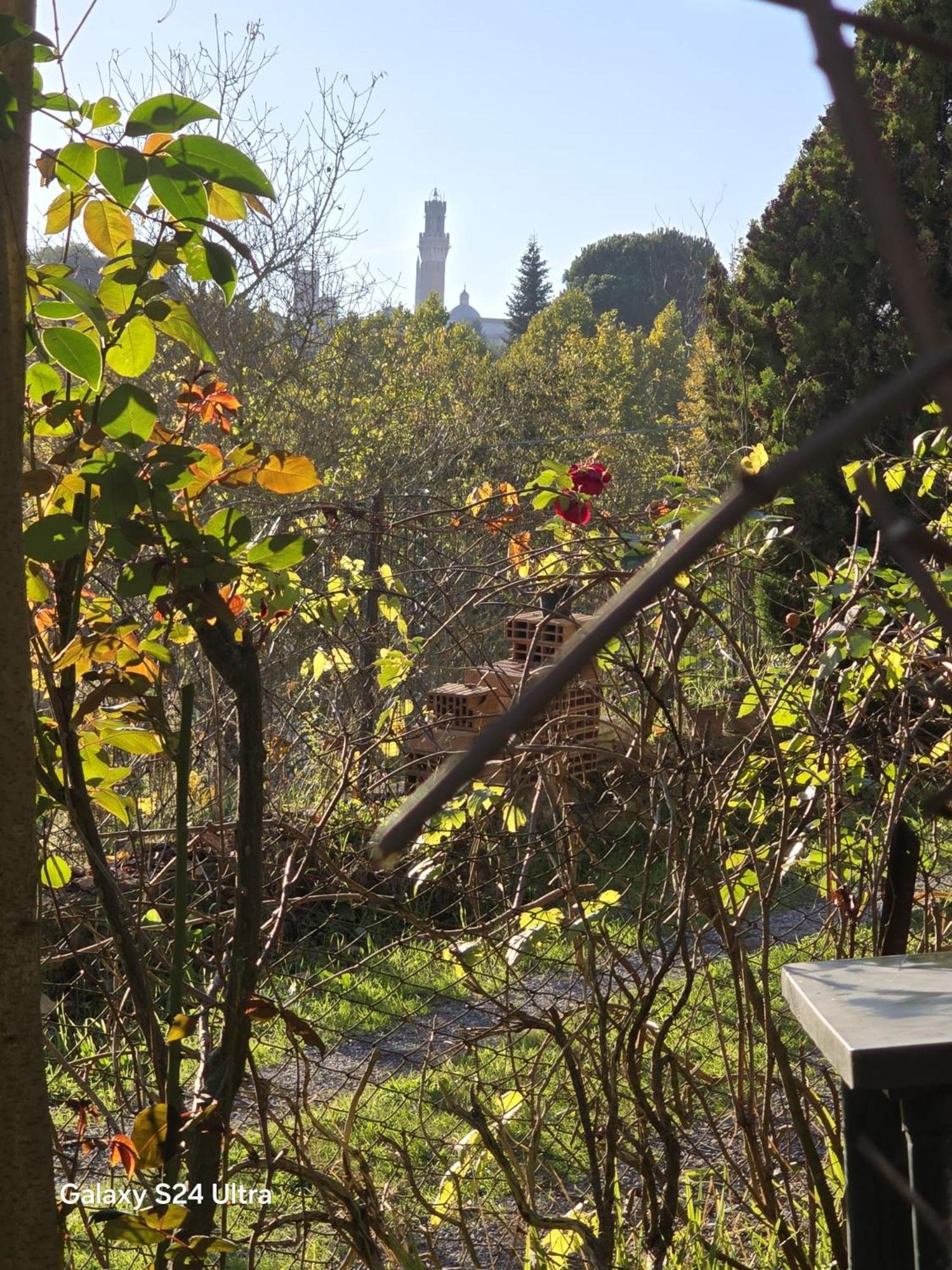 Podere Ponticini Сиена Екстериор снимка