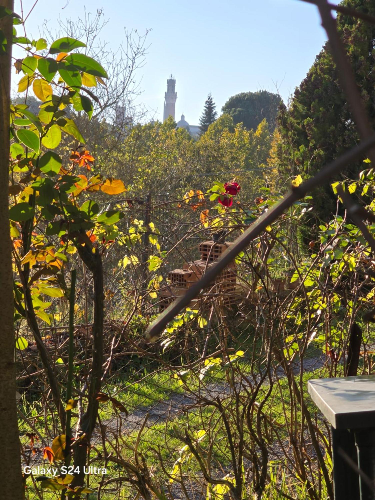 Podere Ponticini Сиена Екстериор снимка